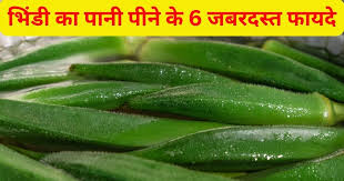 भिंडी का पानी पिने के 6 जबरदस्त फायदे जानिए …