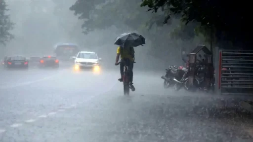 मानसून तबाही मचाने को तैयार… अगले दो दिन छत्तीसगढ़-उत्तर प्रदेश समेत 16 राज्यों में होगी झमाझम बारिश