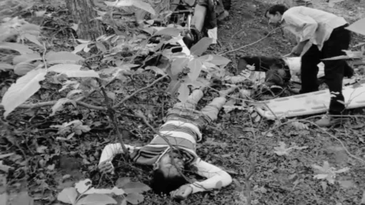 बालोद में भीषण सड़क हादसा.. पेड़ से टकराई बाइक, 3 की मौके पर ही दर्दनाक मौत..