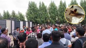 स्टील प्लांट में बड़ा हादसा, मजदूर की मौत