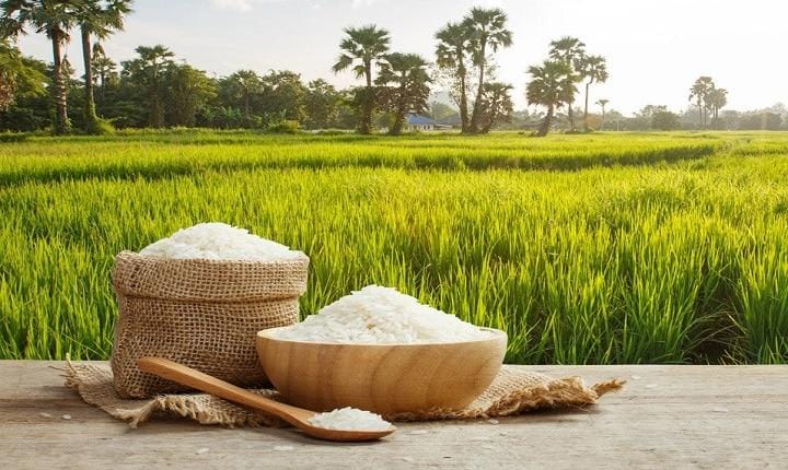 छत्तीसगढ़ के बस्तर के इस चावल से होगा कैंसर का इलाज !