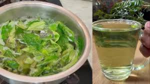 सुबह उठकर सबसे पहले पिएं करी पत्ते का पानी, मिलेंगे ये जबरदस्त फायदे